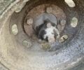 Другая Другая, объемом двигателя 0 л и пробегом 0 тыс. км за 18500 $, фото 6 на Automoto.ua