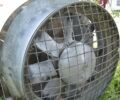 Другая Другая, объемом двигателя 0 л и пробегом 0 тыс. км за 3514 $, фото 4 на Automoto.ua