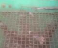 Другая Другая, объемом двигателя 0 л и пробегом 0 тыс. км за 20000 $, фото 2 на Automoto.ua