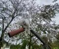Інша Інша, об'ємом двигуна 0 л та пробігом 0 тис. км за 871 $, фото 1 на Automoto.ua
