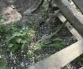 Другая Другая, объемом двигателя 0 л и пробегом 0 тыс. км за 15000 $, фото 4 на Automoto.ua