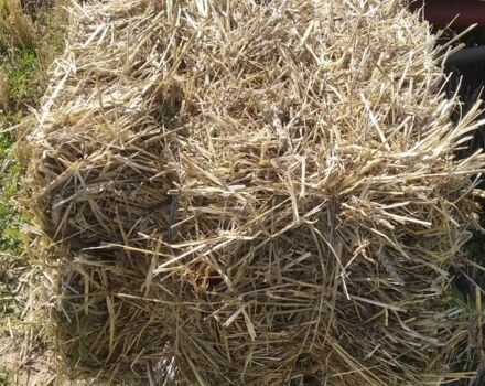 Другая Другая, объемом двигателя 0 л и пробегом 0 тыс. км за 2900 $, фото 3 на Automoto.ua