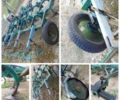Другая Другая, объемом двигателя 0 л и пробегом 0 тыс. км за 60000 $, фото 1 на Automoto.ua