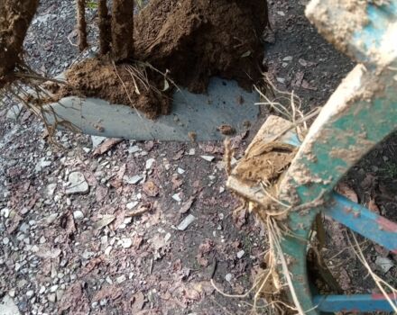 Другая Другая, объемом двигателя 0 л и пробегом 0 тыс. км за 11000 $, фото 1 на Automoto.ua