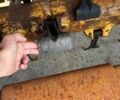 Інша Інша, об'ємом двигуна 0 л та пробігом 0 тис. км за 8000 $, фото 3 на Automoto.ua