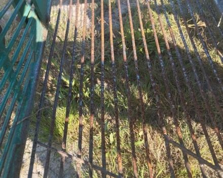 Другая Другая, объемом двигателя 0 л и пробегом 0 тыс. км за 20000 $, фото 4 на Automoto.ua