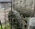 Другая Другая, объемом двигателя 0 л и пробегом 0 тыс. км за 2000 $, фото 1 на Automoto.ua