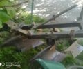 Другая Другая, объемом двигателя 0 л и пробегом 0 тыс. км за 433 $, фото 5 на Automoto.ua