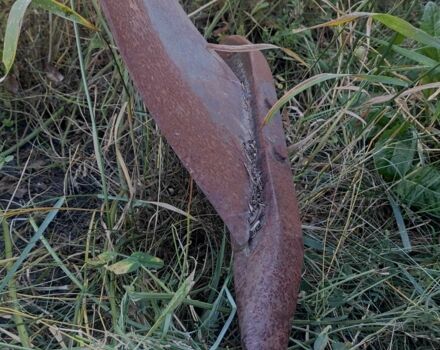 Другая Другая, объемом двигателя 0 л и пробегом 0 тыс. км за 2062 $, фото 4 на Automoto.ua