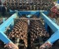 Другая Другая, объемом двигателя 0 л и пробегом 0 тыс. км за 4500 $, фото 2 на Automoto.ua