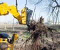 Другая Другая, объемом двигателя 0 л и пробегом 0 тыс. км за 1177 $, фото 3 на Automoto.ua