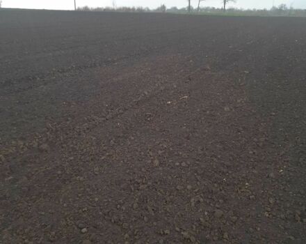 Другая Другая, объемом двигателя 0 л и пробегом 0 тыс. км за 1477 $, фото 2 на Automoto.ua