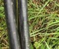 Другая Другая, объемом двигателя 0 л и пробегом 0 тыс. км за 270 $, фото 1 на Automoto.ua