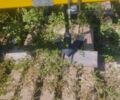 Другая Другая, объемом двигателя 0 л и пробегом 0 тыс. км за 3632 $, фото 1 на Automoto.ua