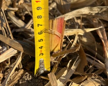 Другая Другая, объемом двигателя 0 л и пробегом 0 тыс. км за 18000 $, фото 16 на Automoto.ua