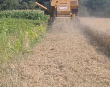 Другая Другая, объемом двигателя 0 л и пробегом 0 тыс. км за 10100 $, фото 3 на Automoto.ua