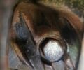 Другая Другая, объемом двигателя 0 л и пробегом 0 тыс. км за 43850 $, фото 20 на Automoto.ua