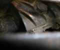 Другая Другая, объемом двигателя 0 л и пробегом 0 тыс. км за 43850 $, фото 21 на Automoto.ua