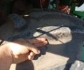 Другая Другая, объемом двигателя 0 л и пробегом 0 тыс. км за 15000 $, фото 4 на Automoto.ua