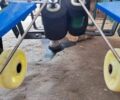 Другая Другая, объемом двигателя 0 л и пробегом 0 тыс. км за 4300 $, фото 4 на Automoto.ua