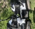 Інша Інша, об'ємом двигуна 6 л та пробігом 0 тис. км за 9500 $, фото 2 на Automoto.ua