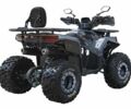 Інша Інша, об'ємом двигуна 0.15 л та пробігом 0 тис. км за 1310 $, фото 6 на Automoto.ua