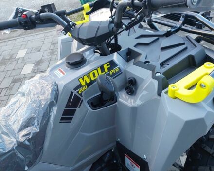 Інша Інша, об'ємом двигуна 0.2 л та пробігом 0 тис. км за 2390 $, фото 10 на Automoto.ua