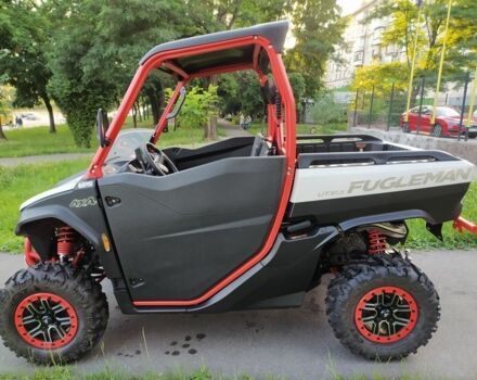 Другая Другая, объемом двигателя 1 л и пробегом 0 тыс. км за 16200 $, фото 3 на Automoto.ua