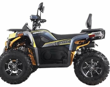 Інша Інша, об'ємом двигуна 0.25 л та пробігом 0 тис. км за 2410 $, фото 2 на Automoto.ua