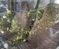 Другая Другая, объемом двигателя 2.3 л и пробегом 0 тыс. км за 1000 $, фото 3 на Automoto.ua