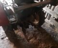 Другая Другая, объемом двигателя 0 л и пробегом 1 тыс. км за 2882 $, фото 1 на Automoto.ua