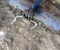 Другая Другая, объемом двигателя 0 л и пробегом 200 тыс. км за 1900 $, фото 7 на Automoto.ua