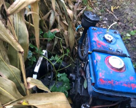 Другая Другая, объемом двигателя 10 л и пробегом 0 тыс. км за 460 $, фото 4 на Automoto.ua