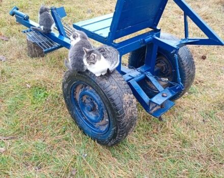 Другая Другая, объемом двигателя 0 л и пробегом 0 тыс. км за 1183 $, фото 2 на Automoto.ua