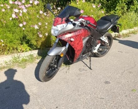 Другая Другая, объемом двигателя 0.3 л и пробегом 0 тыс. км за 543 $, фото 4 на Automoto.ua