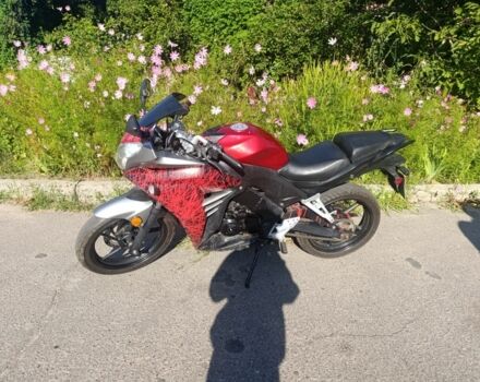 Другая Другая, объемом двигателя 0.3 л и пробегом 0 тыс. км за 543 $, фото 3 на Automoto.ua