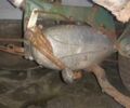 Другая Другая, объемом двигателя 50 л и пробегом 0 тыс. км за 2500 $, фото 5 на Automoto.ua