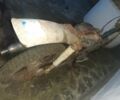 Другая Другая, объемом двигателя 50 л и пробегом 0 тыс. км за 2500 $, фото 7 на Automoto.ua