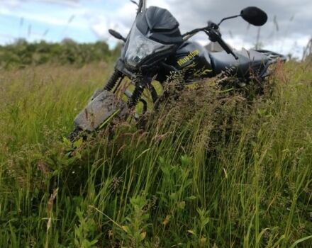 Інша Інша, об'ємом двигуна 0.13 л та пробігом 0 тис. км за 700 $, фото 2 на Automoto.ua