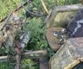 Інша Інша, об'ємом двигуна 0 л та пробігом 0 тис. км за 600 $, фото 1 на Automoto.ua