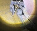 Другая Другая, объемом двигателя 0 л и пробегом 0 тыс. км за 1814 $, фото 7 на Automoto.ua