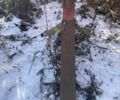Інша Інша, об'ємом двигуна 0 л та пробігом 0 тис. км за 3867 $, фото 1 на Automoto.ua