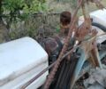 Інша Інша, об'ємом двигуна 0 л та пробігом 0 тис. км за 436 $, фото 3 на Automoto.ua