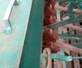 Другая Другая, объемом двигателя 0 л и пробегом 0 тыс. км за 15000 $, фото 2 на Automoto.ua