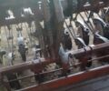 Другая Другая, объемом двигателя 0 л и пробегом 0 тыс. км за 1350 $, фото 6 на Automoto.ua