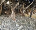 Другая Другая, объемом двигателя 0 л и пробегом 0 тыс. км за 7500 $, фото 18 на Automoto.ua