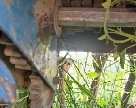 Другая Другая, объемом двигателя 0 л и пробегом 0 тыс. км за 1200 $, фото 5 на Automoto.ua