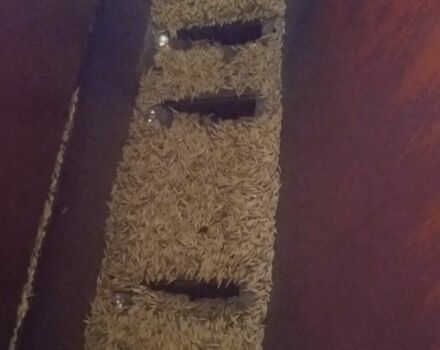 Другая Другая, объемом двигателя 0 л и пробегом 0 тыс. км за 2000 $, фото 7 на Automoto.ua