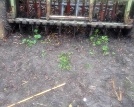 Інша Інша, об'ємом двигуна 0 л та пробігом 0 тис. км за 1400 $, фото 2 на Automoto.ua