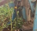 Другая Інша, об'ємом двигуна 0 л та пробігом 0 тис. км за 75000 $, фото 10 на Automoto.ua